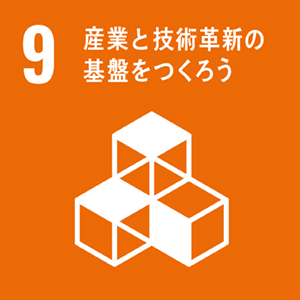 目標 9: 産業、イノベーション、インフラストラクチャー