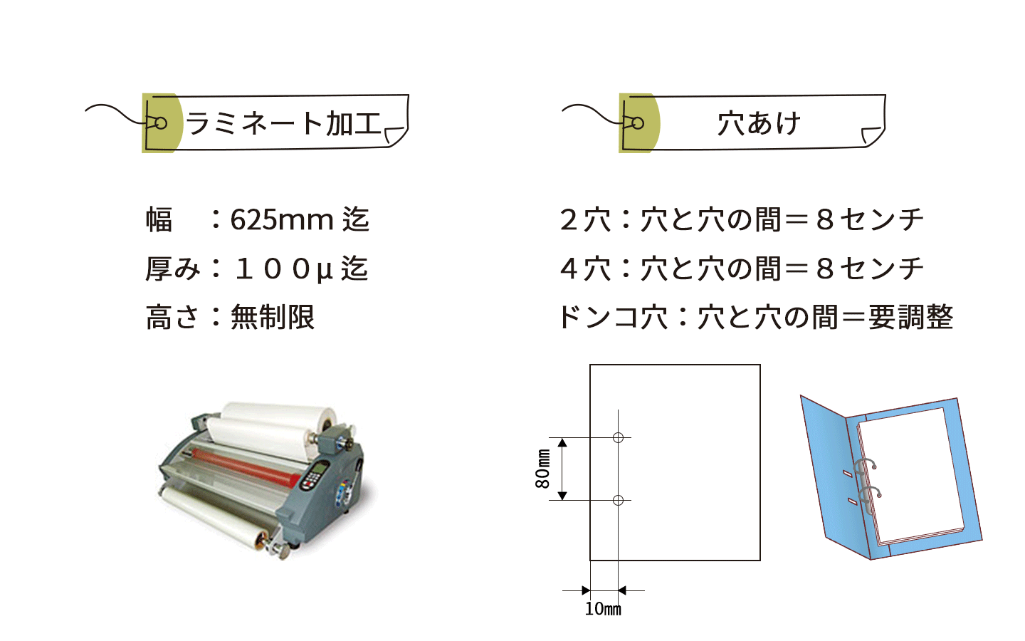 画像の内容